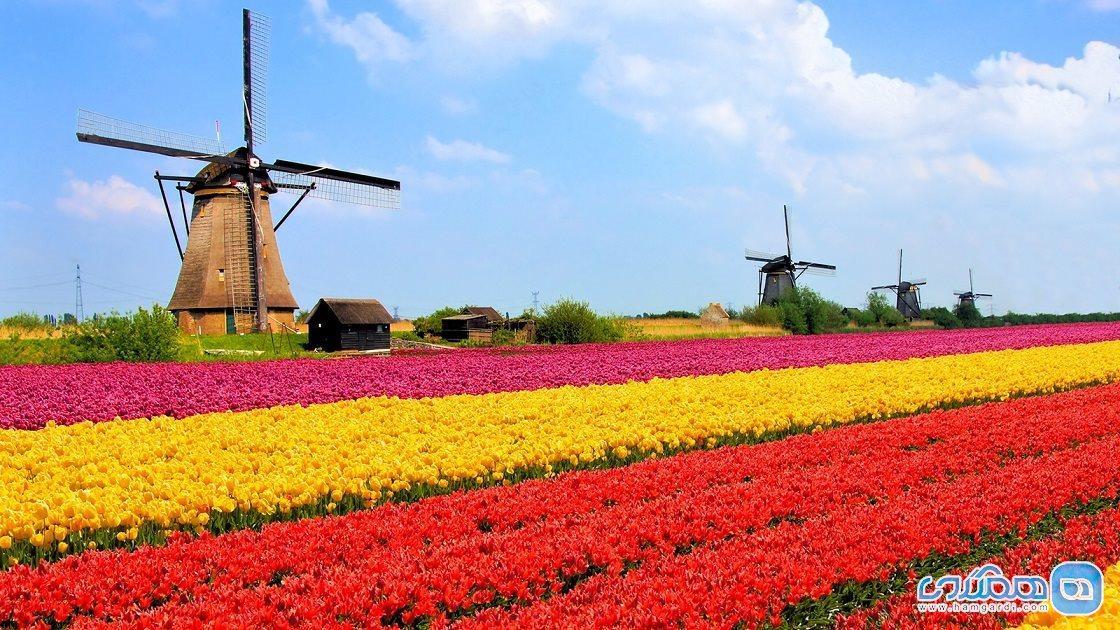 سفر به هلند ، کشور زیبای گل ها و کانال ها