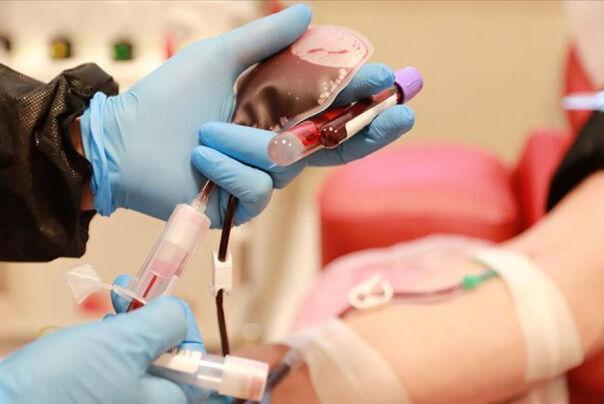 درمان نیمی از بیماران کرونایی قطر با تزریق پلاسما