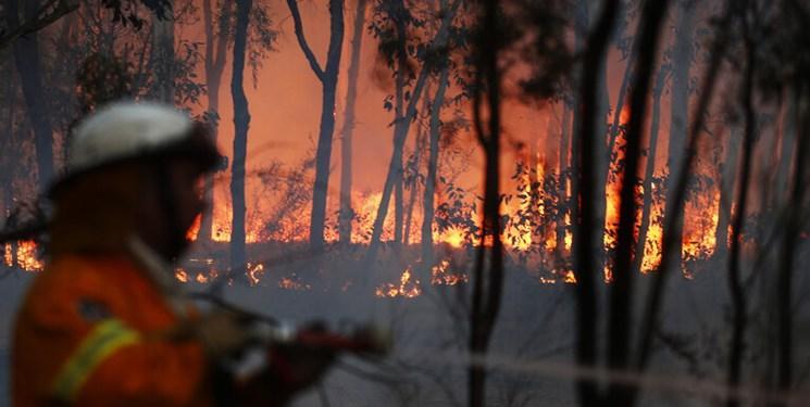هزاران هکتار در استرالیا طعمه آتش شدند