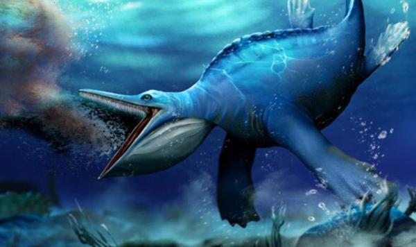 کشف نهنگ توت عنخ آمون در مصر