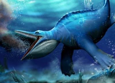 کشف نهنگ توت عنخ آمون در مصر