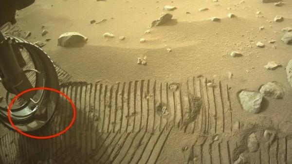 مریخ نورد ناسا در خاک مریخ حیوان خانگی پیدا کرد!، عکس